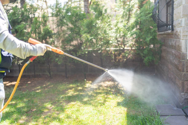 Best Mosquito Control Services  in Morrisville, VT