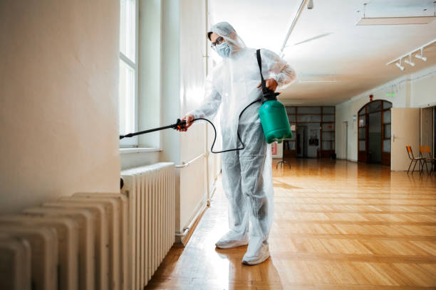 Best Commercial Pest Control Services  in Morrisville, VT